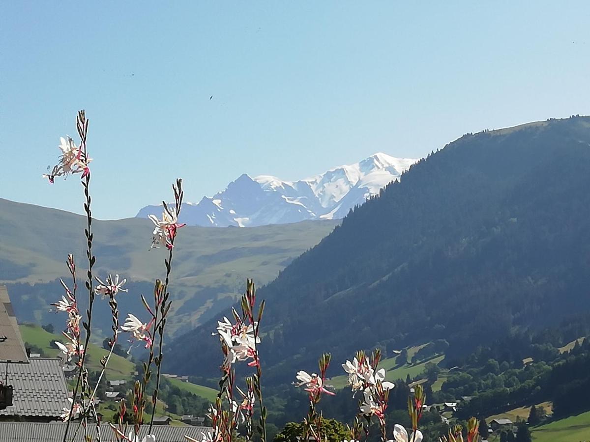Chambres Et Tables D'Hotes Le Choton A Nono - Col Du Joly Beaufortain Hauteluce Exterior foto