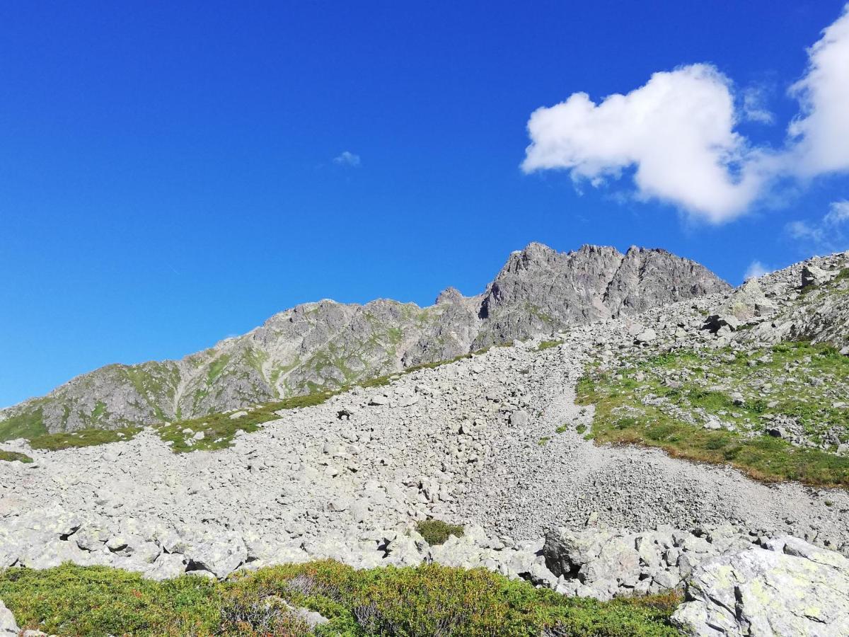 Chambres Et Tables D'Hotes Le Choton A Nono - Col Du Joly Beaufortain Hauteluce Exterior foto